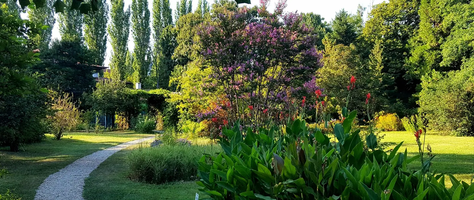 Botanical-Garden-of-Bucharest-slider-10